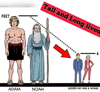 ADAM NOAH humans