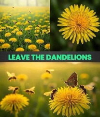 Dandelions leave alone